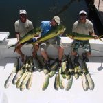 Fly Fishing (1/1)
