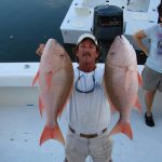 Snappers (1/11)