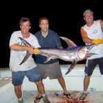 Swordfish (1/6)